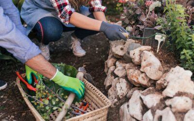 Budget-Friendly DIY Landscaping: Affordable Ideas for Stunning Curb Appeal